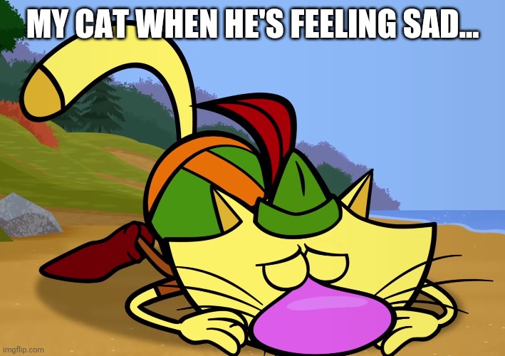 Nature Cat Feeling Down | MY CAT WHEN HE'S FEELING SAD... | image tagged in nature cat feeling down,aww,pbs kids,nature cat | made w/ Imgflip meme maker