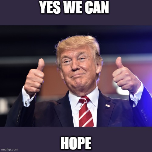YES WE CAN | YES WE CAN; HOPE | image tagged in hope and change | made w/ Imgflip meme maker
