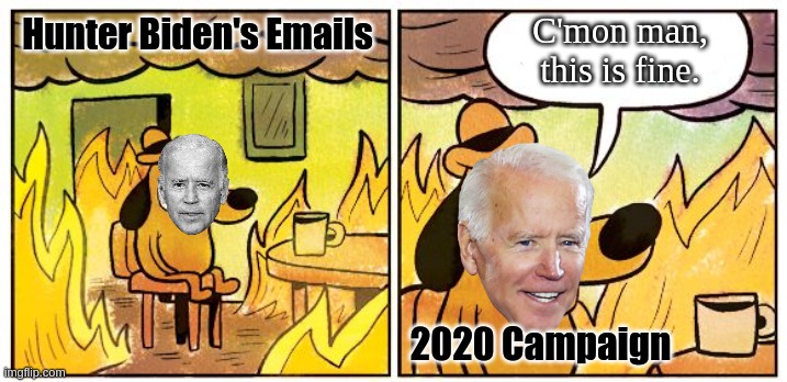 c'mon man, this is fine. | C'mon man, this is fine. Hunter Biden's Emails; 2020 Campaign | image tagged in memes,this is fine | made w/ Imgflip meme maker