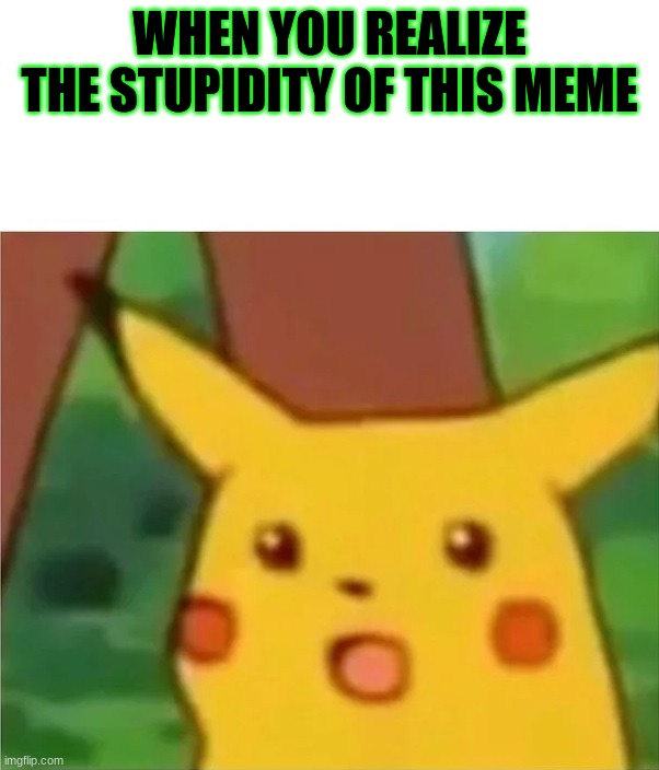 oh come on | WHEN YOU REALIZE THE STUPIDITY OF THIS MEME | image tagged in surprised pikachu | made w/ Imgflip meme maker
