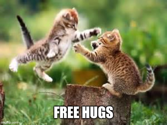 free hugs | FREE HUGS | image tagged in free hugs | made w/ Imgflip meme maker
