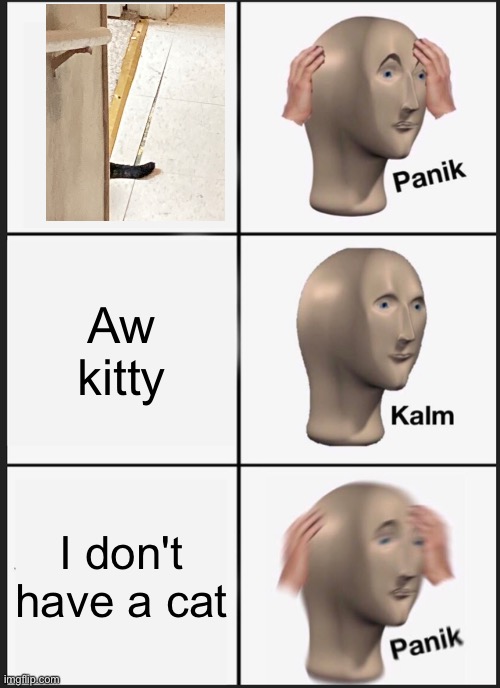 Panik Kalm Panik | Aw kitty; I don't have a cat | image tagged in memes,panik kalm panik,cats,cat memes,evil cat,wtf cat | made w/ Imgflip meme maker