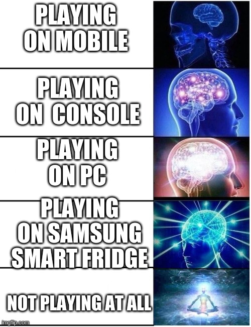its so true tho | PLAYING ON MOBILE; PLAYING ON  CONSOLE; PLAYING ON PC; PLAYING ON SAMSUNG SMART FRIDGE; NOT PLAYING AT ALL | image tagged in expanding brain 5 panel,gaming,memes,funny | made w/ Imgflip meme maker