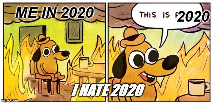 This Is Fine | ME IN 2020; 2020; I HATE 2020 | image tagged in memes,this is fine | made w/ Imgflip meme maker