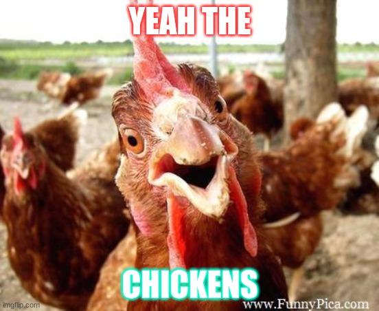 Chicken memes | YEAH THE; CHICKENS | image tagged in chicken | made w/ Imgflip meme maker