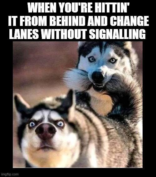 WHEN YOU'RE HITTIN' IT FROM BEHIND AND CHANGE LANES WITHOUT SIGNALLING | image tagged in funny,relationships,sex,doggy,that moment when | made w/ Imgflip meme maker