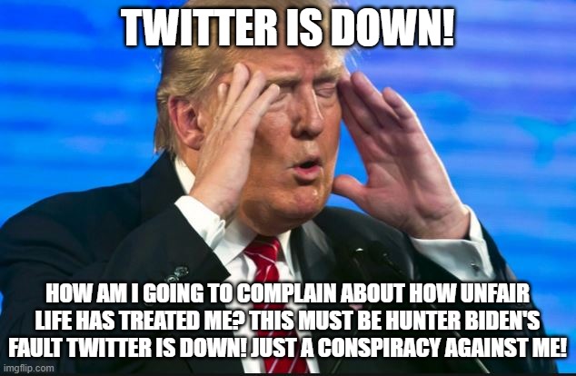 Trump - Sad, so sad | TWITTER IS DOWN! HOW AM I GOING TO COMPLAIN ABOUT HOW UNFAIR LIFE HAS TREATED ME? THIS MUST BE HUNTER BIDEN'S FAULT TWITTER IS DOWN! JUST A CONSPIRACY AGAINST ME! | image tagged in trump - sad so sad | made w/ Imgflip meme maker