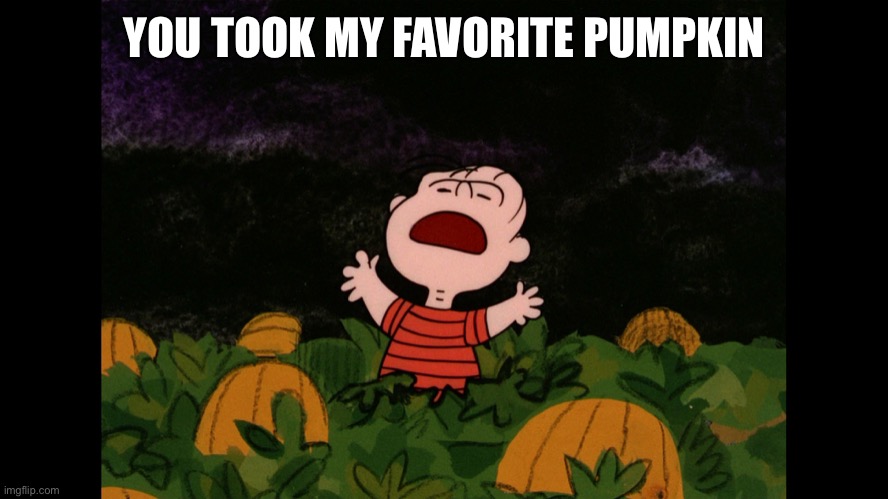 Great Pumpkin | YOU TOOK MY FAVORITE PUMPKIN | image tagged in great pumpkin | made w/ Imgflip meme maker