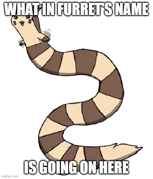 Long Furret | WHAT IN FURRET'S NAME; IS GOING ON HERE | image tagged in long furret | made w/ Imgflip meme maker