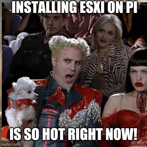 INSTALLING ESXI ON PI; IS SO HOT RIGHT NOW! | made w/ Imgflip meme maker