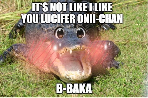 Kawaii Gator | IT'S NOT LIKE I LIKE YOU LUCIFER ONII-CHAN; B-BAKA | image tagged in kawaii gator | made w/ Imgflip meme maker