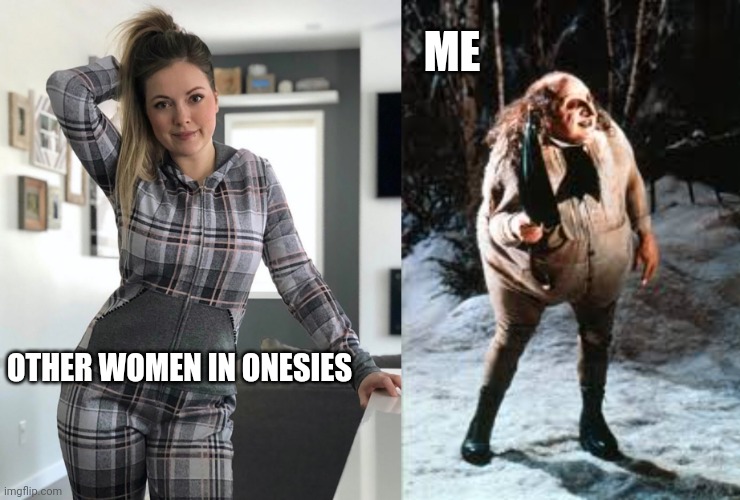 ME; OTHER WOMEN IN ONESIES | image tagged in funny memes,first world problems,humor | made w/ Imgflip meme maker