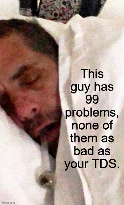 This guy has 99 problems, none of them as bad as your TDS. | made w/ Imgflip meme maker