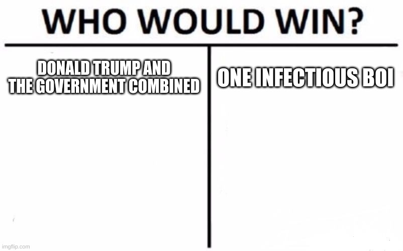 2020 right now | DONALD TRUMP AND THE GOVERNMENT COMBINED; ONE INFECTIOUS BOI | image tagged in memes,who would win | made w/ Imgflip meme maker