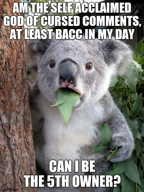 Surprised Koala | AM THE SELF ACCLAIMED GOD OF CURSED COMMENTS, AT LEAST BACC IN MY DAY; CAN I BE THE 5TH OWNER? | image tagged in memes,surprised koala | made w/ Imgflip meme maker