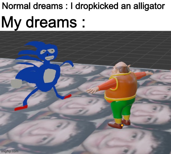 wack | Normal dreams : I dropkicked an alligator; My dreams : | image tagged in morshu,sanic | made w/ Imgflip meme maker