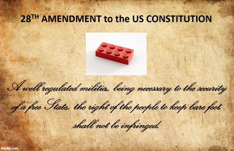 Proposed 28th Amendment to the Constitution: The Banning of Legos | image tagged in law | made w/ Imgflip meme maker