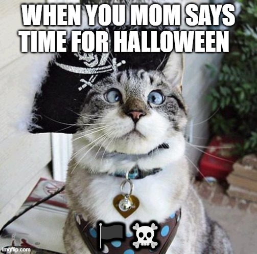 Spangles | WHEN YOU MOM SAYS TIME FOR HALLOWEEN; 🏴‍☠️ | image tagged in memes,spangles | made w/ Imgflip meme maker