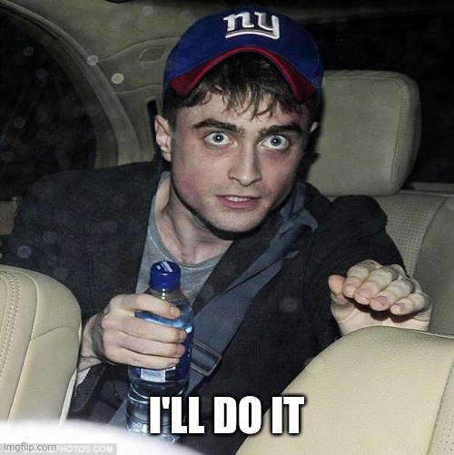 harry potter crazy | I'LL DO IT | image tagged in harry potter crazy | made w/ Imgflip meme maker