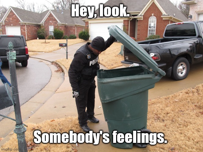 Me during an election year. | Hey, look. Somebody's feelings. | image tagged in hurtfeelings,trashbarrel,semiamusing | made w/ Imgflip meme maker