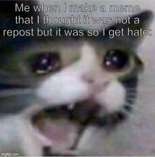 I did this but it is my most viewed meme | Me when I make a meme that I thought it was not a repost but it was so I get hate: | image tagged in crying cat | made w/ Imgflip meme maker