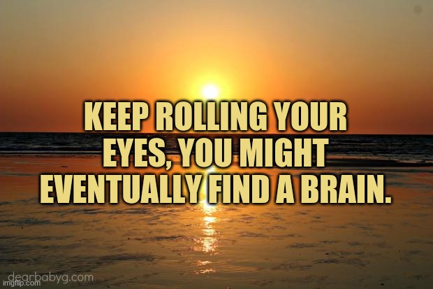 beach sunset | KEEP ROLLING YOUR EYES, YOU MIGHT EVENTUALLY FIND A BRAIN. | image tagged in beach sunset,insults | made w/ Imgflip meme maker