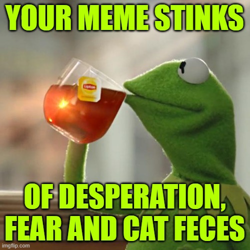 But That's None Of My Business Meme | YOUR MEME STINKS OF DESPERATION, FEAR AND CAT FECES | image tagged in memes,but that's none of my business,kermit the frog | made w/ Imgflip meme maker