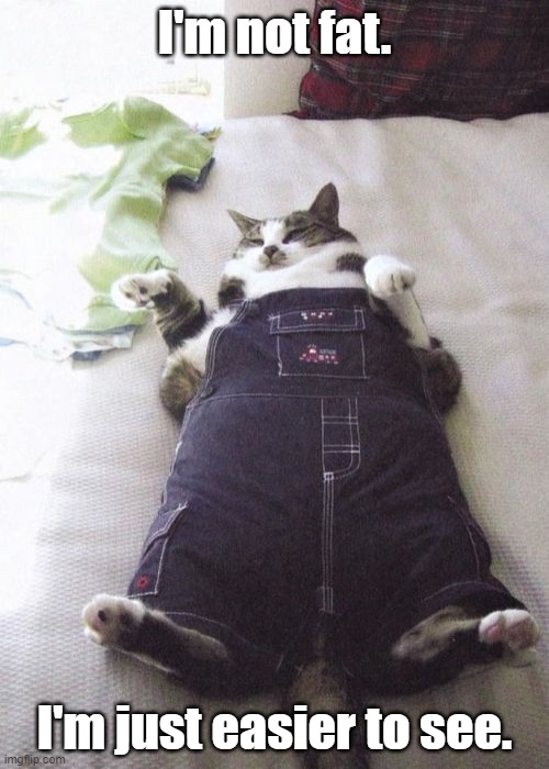 Fat Cat | I'm not fat. I'm just easier to see. | image tagged in memes,fat cat,cats,funny cats,fat | made w/ Imgflip meme maker