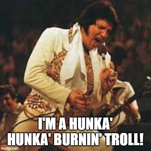 I'M A HUNKA' HUNKA' BURNIN' TROLL! | made w/ Imgflip meme maker