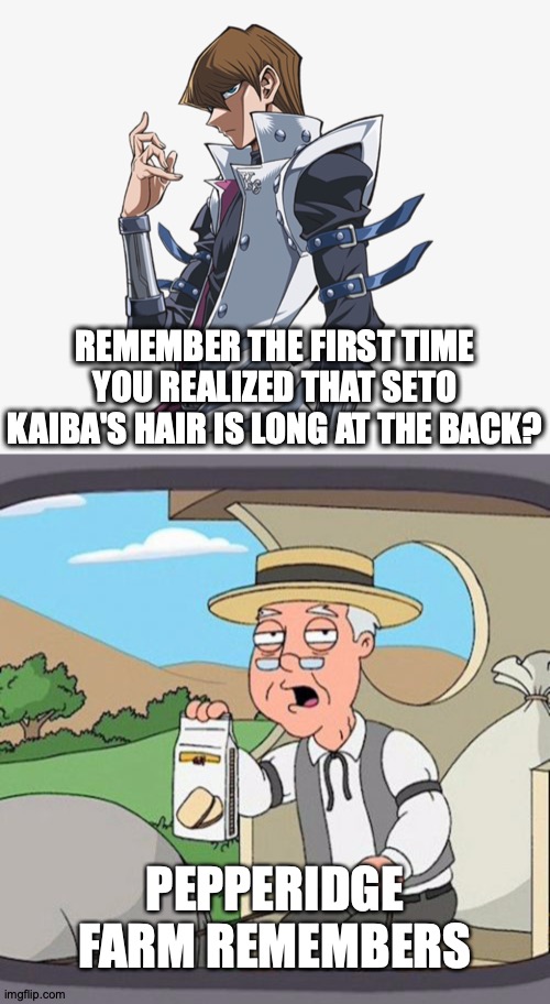 Setotally Original | REMEMBER THE FIRST TIME YOU REALIZED THAT SETO KAIBA'S HAIR IS LONG AT THE BACK? PEPPERIDGE FARM REMEMBERS | image tagged in memes,pepperidge farm remembers,anime,yugioh,kai,bae | made w/ Imgflip meme maker