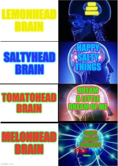 Expanding Brain Meme | SOUR LEMONY BADNESS; LEMONHEAD BRAIN; SALTYHEAD BRAIN; HAPPY SALTY THINGS; DREAM A LITTLE DREAM OF ME; TOMATOHEAD BRAIN; MELONHEAD BRAIN; SWEET MELONY GOODNESS | image tagged in memes,expanding brain,Vannamelon | made w/ Imgflip meme maker