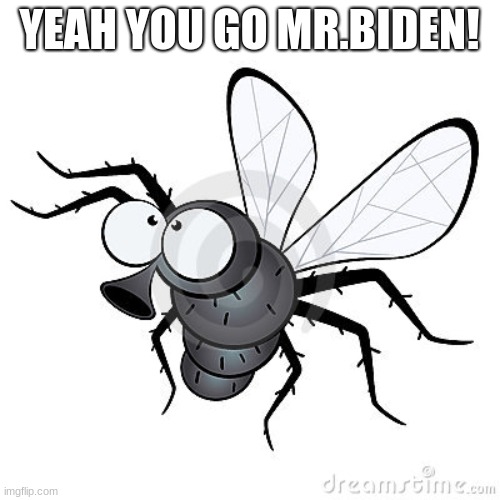 cartoon-fly-9084404.jpg | YEAH YOU GO MR.BIDEN! | image tagged in cartoon-fly-9084404 jpg | made w/ Imgflip meme maker