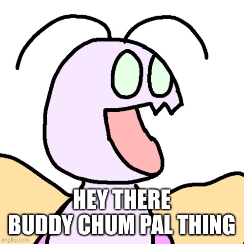 asher pog | HEY THERE BUDDY CHUM PAL THING | image tagged in asher pog | made w/ Imgflip meme maker