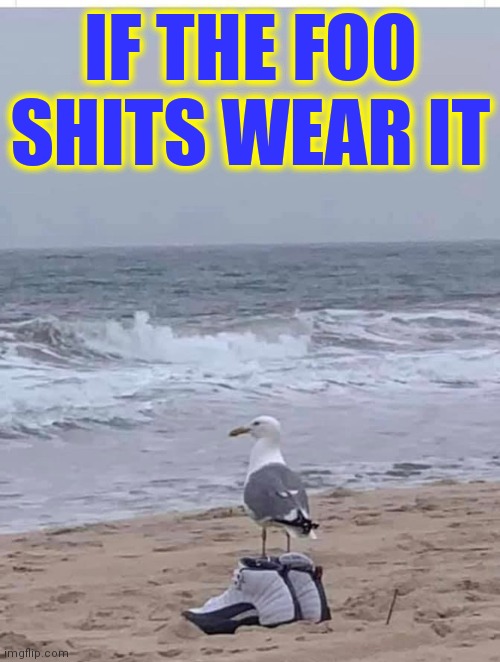This is what I heard... but then again I am partially deaf | IF THE FOO SHITS WEAR IT | image tagged in vince vance,deaf,seagull,running shoes,beach,memes | made w/ Imgflip meme maker