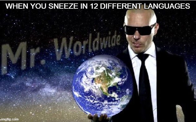 mr world wide | WHEN YOU SNEEZE IN 12 DIFFERENT LANGUAGES | image tagged in mr world wide | made w/ Imgflip meme maker