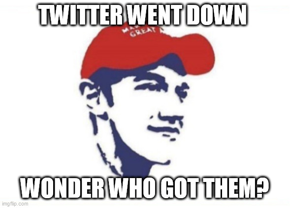 Nick Sandmann Maga | TWITTER WENT DOWN; WONDER WHO GOT THEM? | image tagged in nick sandmann maga | made w/ Imgflip meme maker