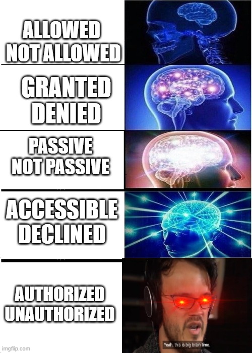 MEME | ALLOWED 
NOT ALLOWED; GRANTED DENIED; PASSIVE
NOT PASSIVE; ACCESSIBLE
DECLINED; AUTHORIZED
UNAUTHORIZED | image tagged in expanding brain,yeah this is big brain time | made w/ Imgflip meme maker