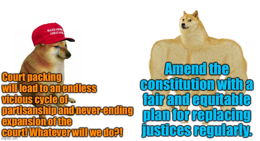 Will court packing inevitably lead to this? Not if we amend the Constitution! | Amend the constitution with a fair and equitable plan for replacing justices regularly. Court packing will lead to an endless vicious cycle of partisanship and never-ending expansion of the court! Whatever will we do?! | image tagged in swole doge vs cheems flipped,constitution | made w/ Imgflip meme maker