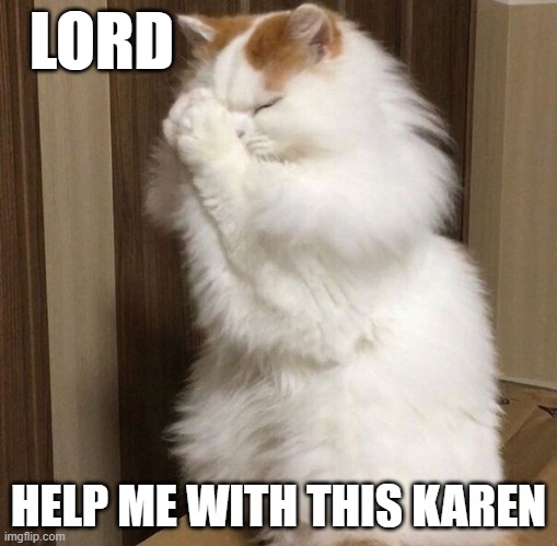  LORD; HELP ME WITH THIS KAREN | image tagged in omg karen | made w/ Imgflip meme maker