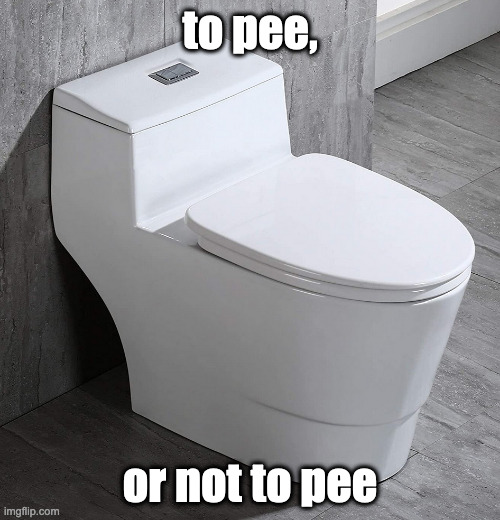 To Pee | to pee, or not to pee | image tagged in toilet,toilet humor | made w/ Imgflip meme maker