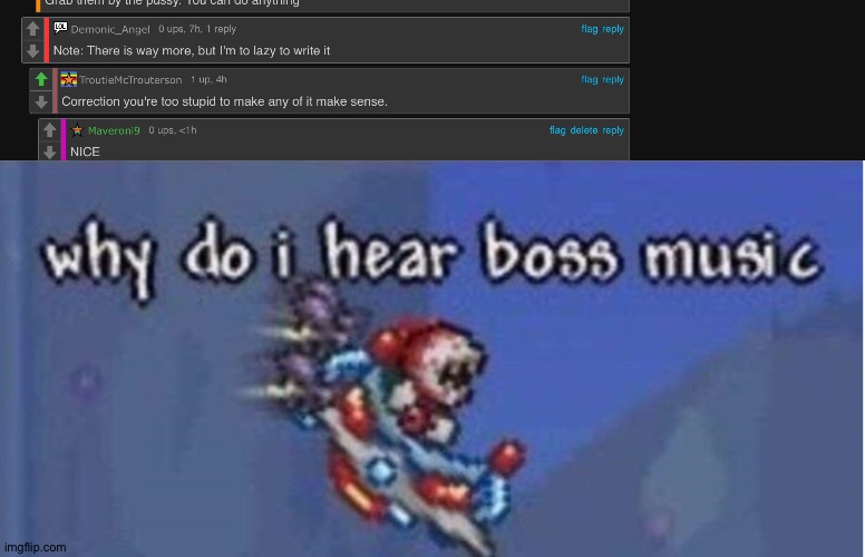 Demonic Angel stupid | image tagged in why do i hear boss music | made w/ Imgflip meme maker