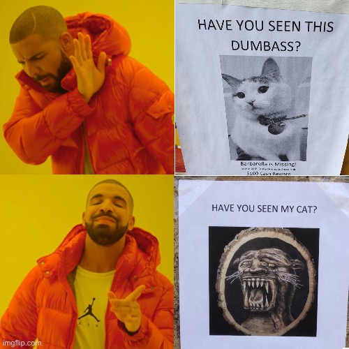 How to find your cat | image tagged in cats,cat,funny cat memes,sad cat,lolcats,cat meme | made w/ Imgflip meme maker