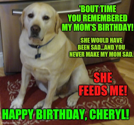 Yellow Lab | 'BOUT TIME YOU REMEMBERED MY MOM'S BIRTHDAY! SHE WOULD HAVE BEEN SAD...AND YOU NEVER MAKE MY MOM SAD. SHE FEEDS ME! HAPPY BIRTHDAY, CHERYL! | image tagged in yellow lab | made w/ Imgflip meme maker