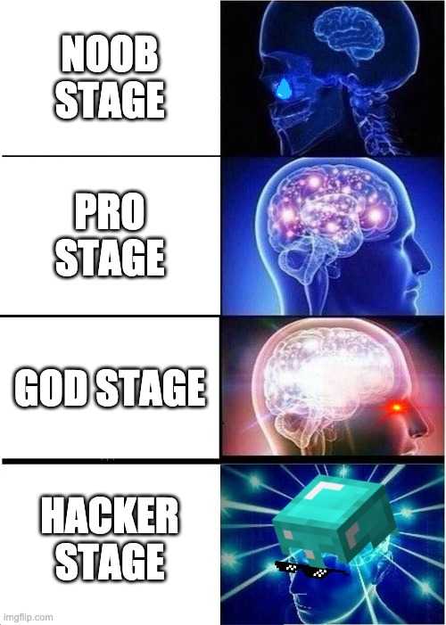 Gamer's brain stages | NOOB STAGE; PRO STAGE; GOD STAGE; HACKER STAGE | image tagged in memes,expanding brain | made w/ Imgflip meme maker