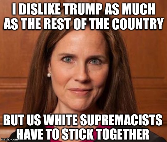 Amy Barrett | I DISLIKE TRUMP AS MUCH AS THE REST OF THE COUNTRY BUT US WHITE SUPREMACISTS HAVE TO STICK TOGETHER | image tagged in amy barrett | made w/ Imgflip meme maker