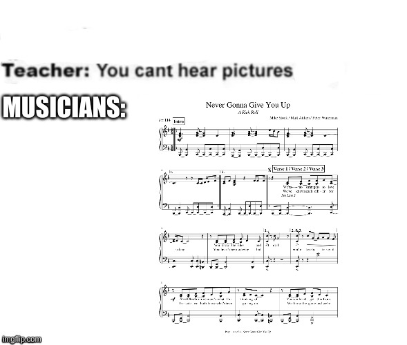 Can you hear sheet music? | MUSICIANS: | image tagged in you can't hear pictures | made w/ Imgflip meme maker