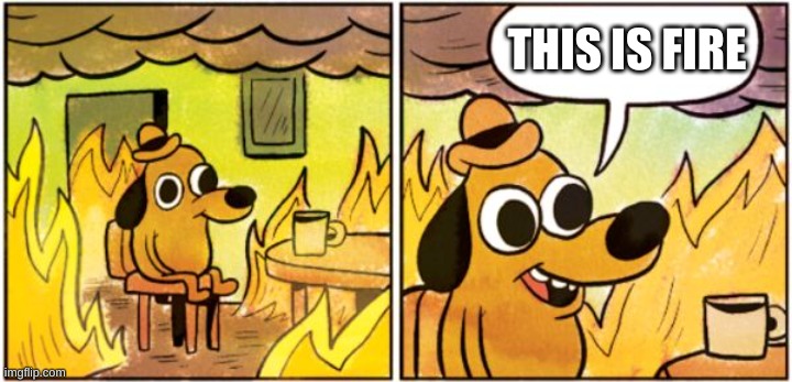 burning dog | THIS IS FIRE | image tagged in burning dog | made w/ Imgflip meme maker