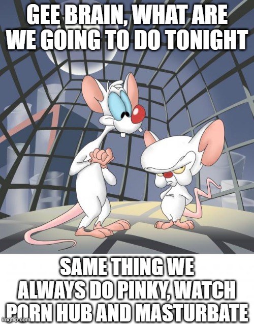 Pinky and the brain | GEE BRAIN, WHAT ARE WE GOING TO DO TONIGHT; SAME THING WE ALWAYS DO PINKY, WATCH PORN HUB AND MASTURBATE | image tagged in pinky and the brain | made w/ Imgflip meme maker