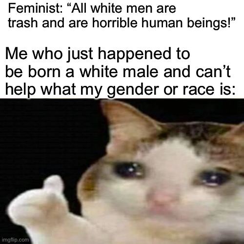 Why are you so mean! | Feminist: “All white men are trash and are horrible human beings!”; Me who just happened to be born a white male and can’t help what my gender or race is: | image tagged in feminist,sad cat thumbs up,white man | made w/ Imgflip meme maker