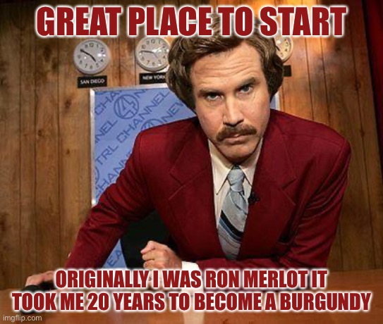ron burgundy | GREAT PLACE TO START ORIGINALLY I WAS RON MERLOT IT TOOK ME 20 YEARS TO BECOME A BURGUNDY | image tagged in ron burgundy | made w/ Imgflip meme maker